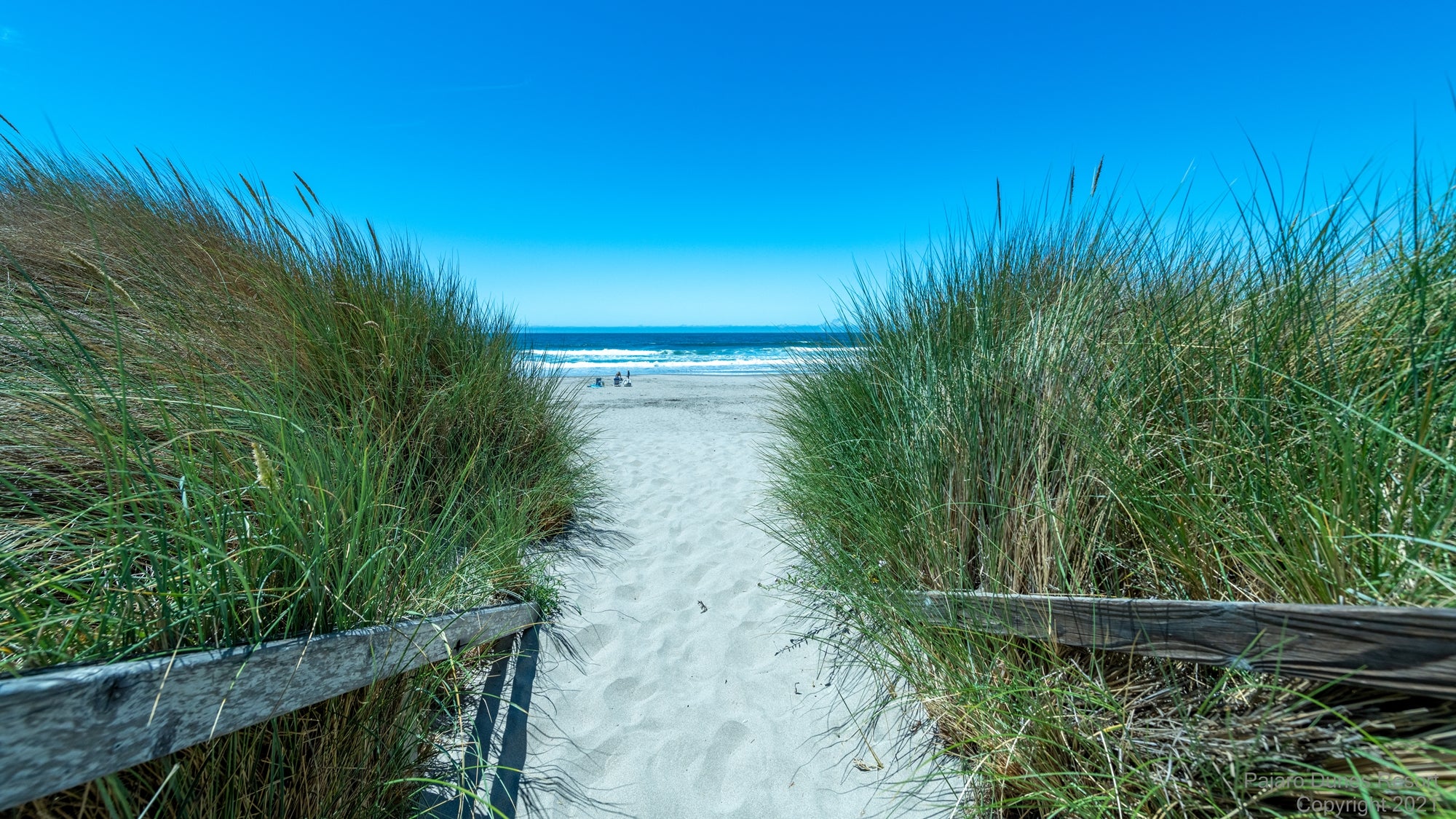 pathway to the beach